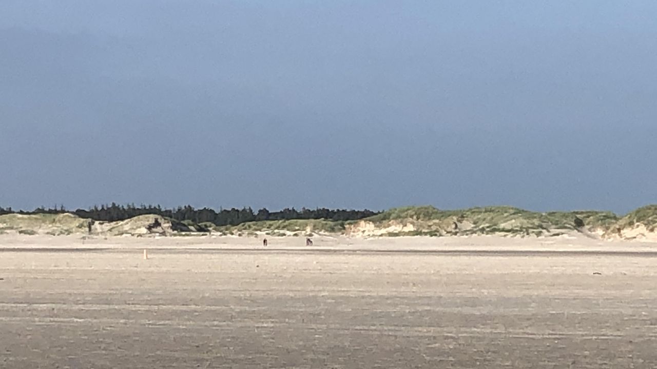 Dünen in SPO Dünen in SPO